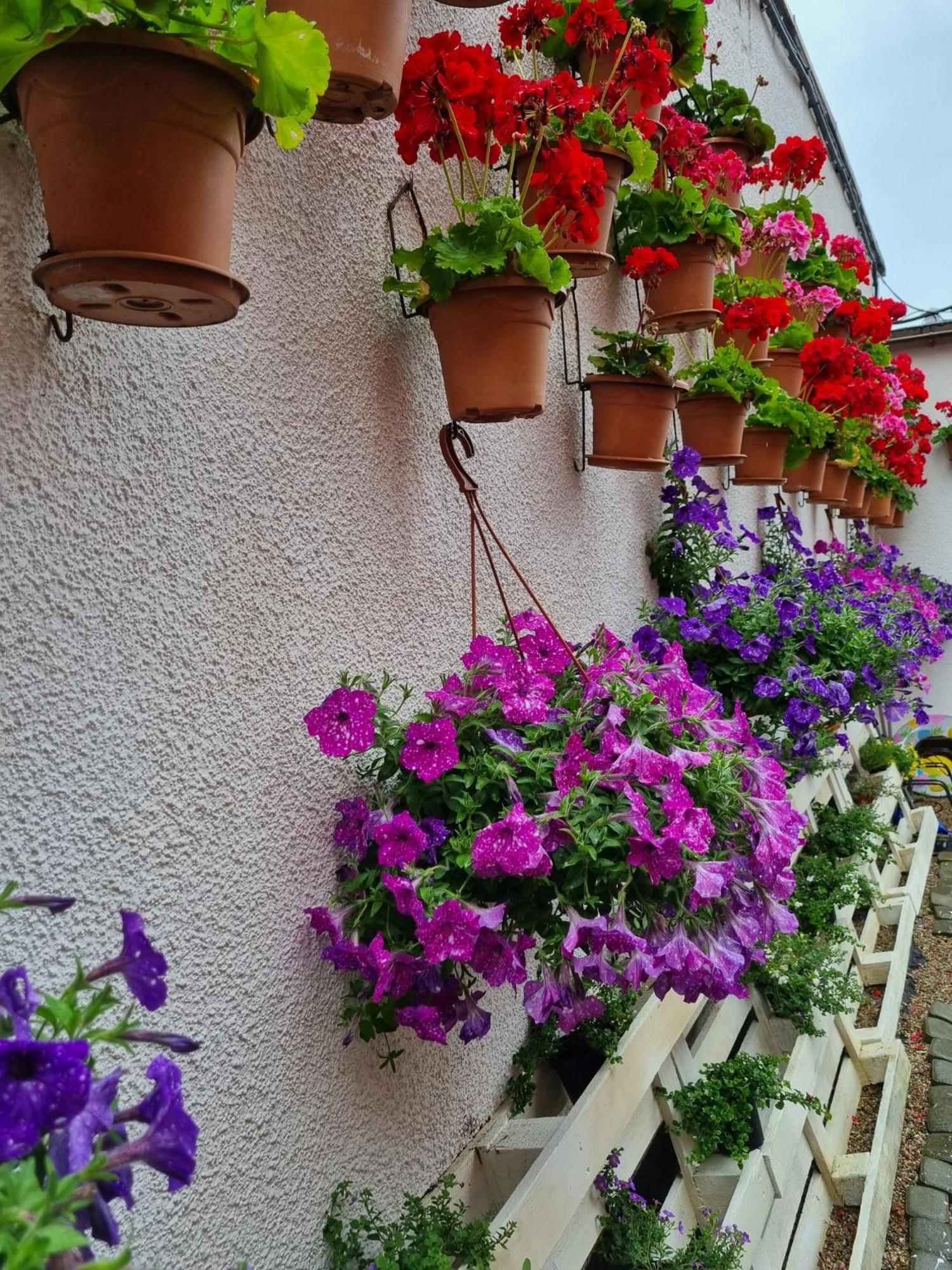 Goscinny Dom Kaola Rewal Esterno foto